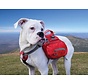 Dog Backpack Baxter Red