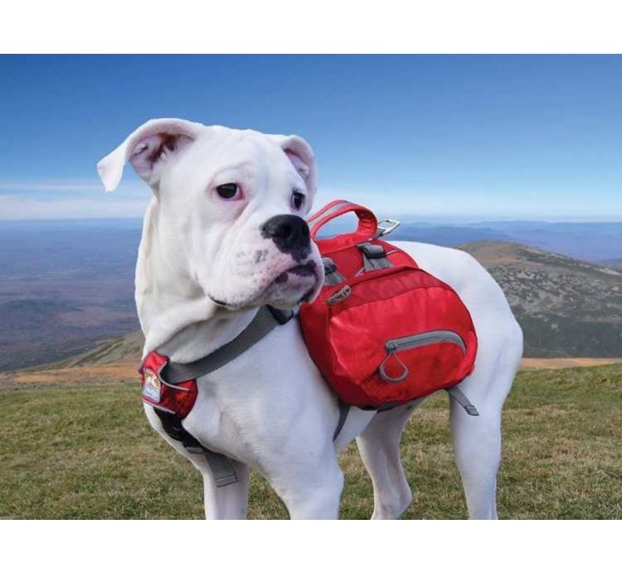 Dog Backpack Baxter Red