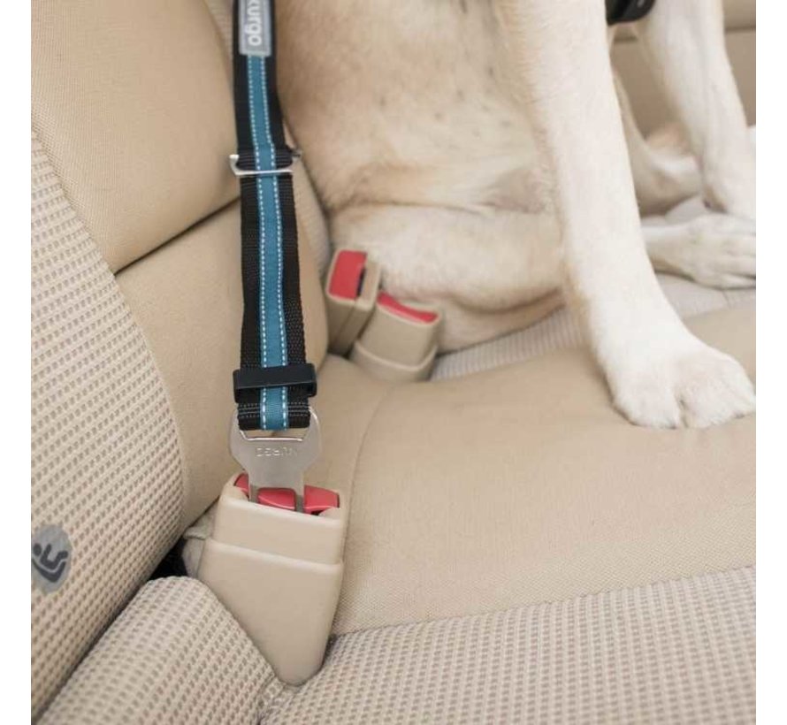 Direct to Seatbelt Tether Blue