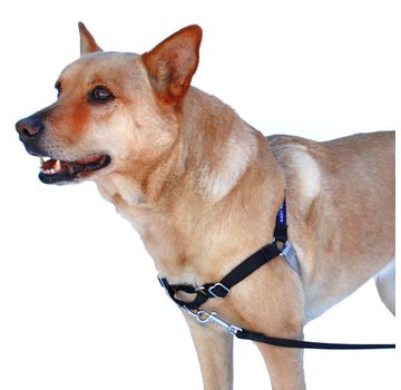 Petsafe Anti-Pull Dog Harness Easy Walk ® Black