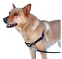 Anti-Pull Dog Harness Easy Walk ® Black