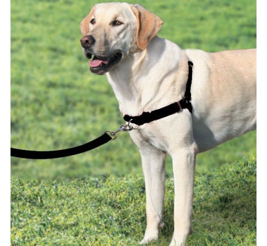 Anti-Pull Dog Harness Easy Walk ® Black