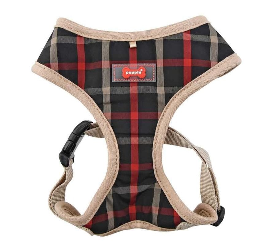 Dog Harness Baxter