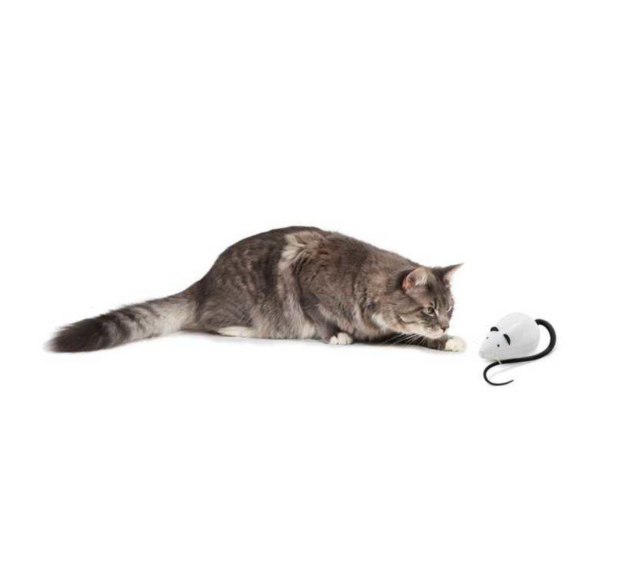 Cat Toy Rolocat