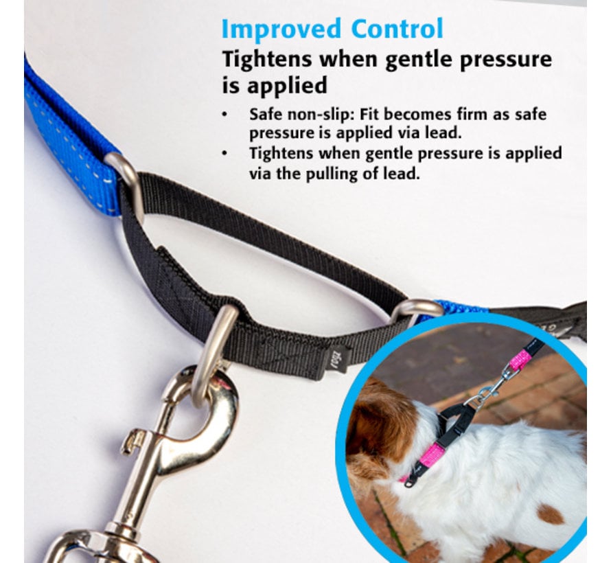 Dog Collar Utility Control Blue