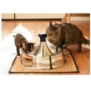 Petsafe Drinking Fountain 360 stainless steel