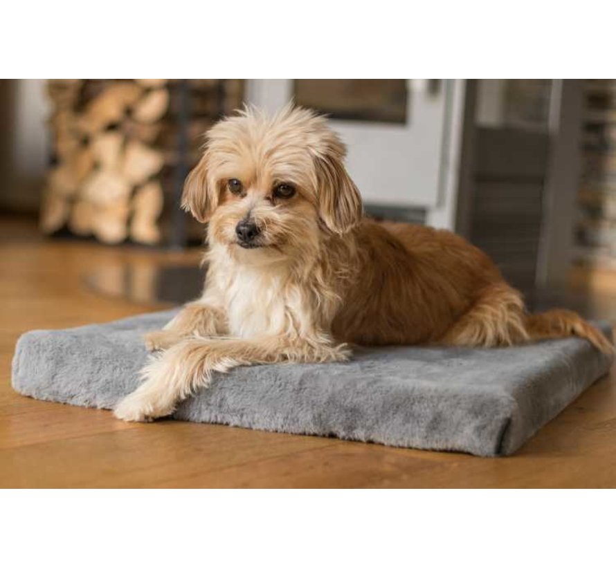 orthopedic Dog Cushion VitaMeDog Gray
