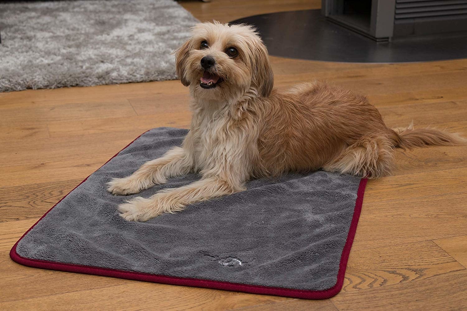 Kurgo Explorer Carrier Panier de Voyage | Chiens | Commander