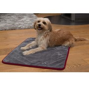 TrendPet Dog Dry Blanket Ruby