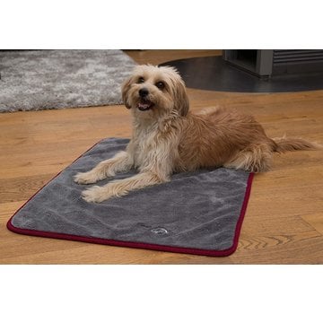 TrendPet Dog Dry Blanket Ruby