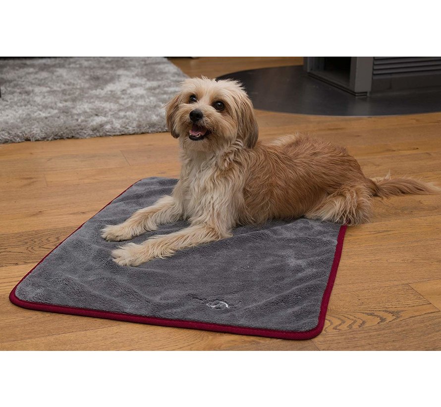 Dog Dry Blanket Ruby