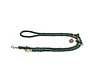 Adjustable Dog Leash List Olive