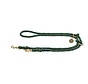 Adjustable Dog Leash List Olive