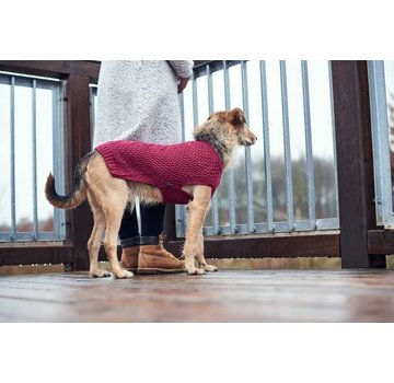 Hunter Dog Sweater Malmö Bordeaux