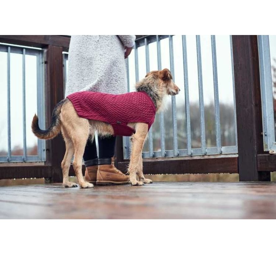 Dog Sweater Malmö Bordeaux