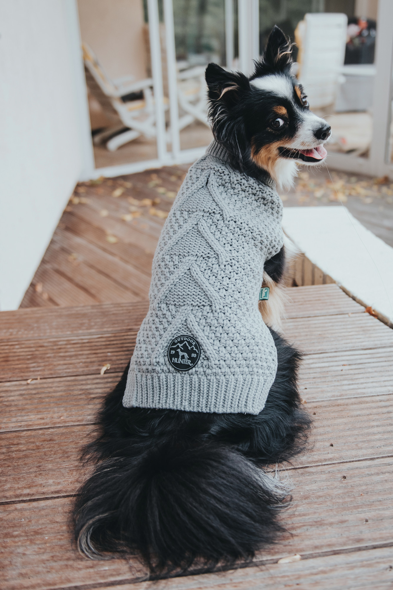 Hunter Dog Sweater Malmö Grey