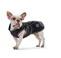 Dog Coat Uppsala Softshell