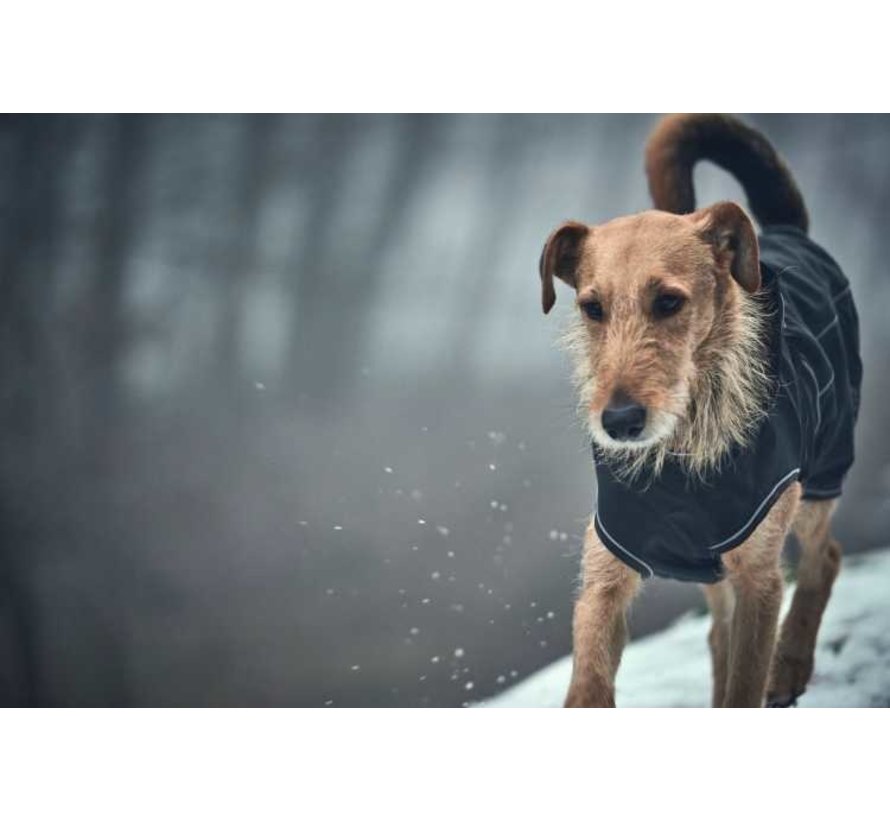 Dog Coat Uppsala Softshell