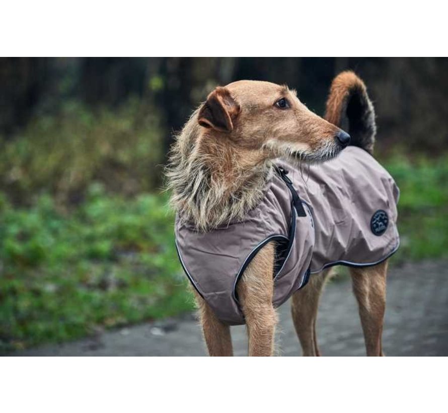 Dog Coat Uppsala Taupe