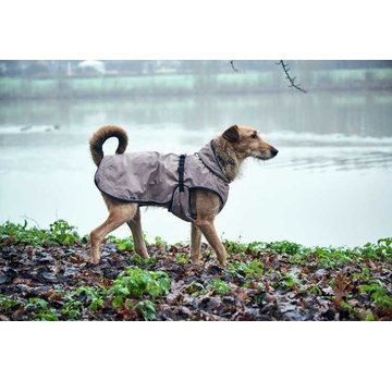 Hunter Dog Coat Uppsala Taupe