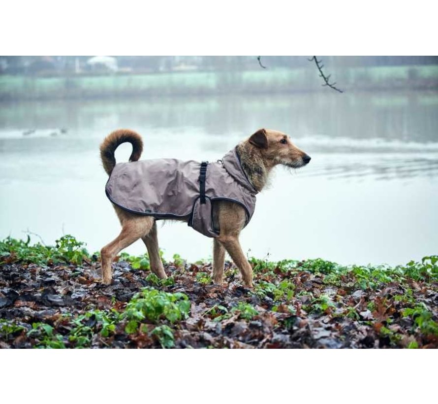 Dog Coat Uppsala Taupe