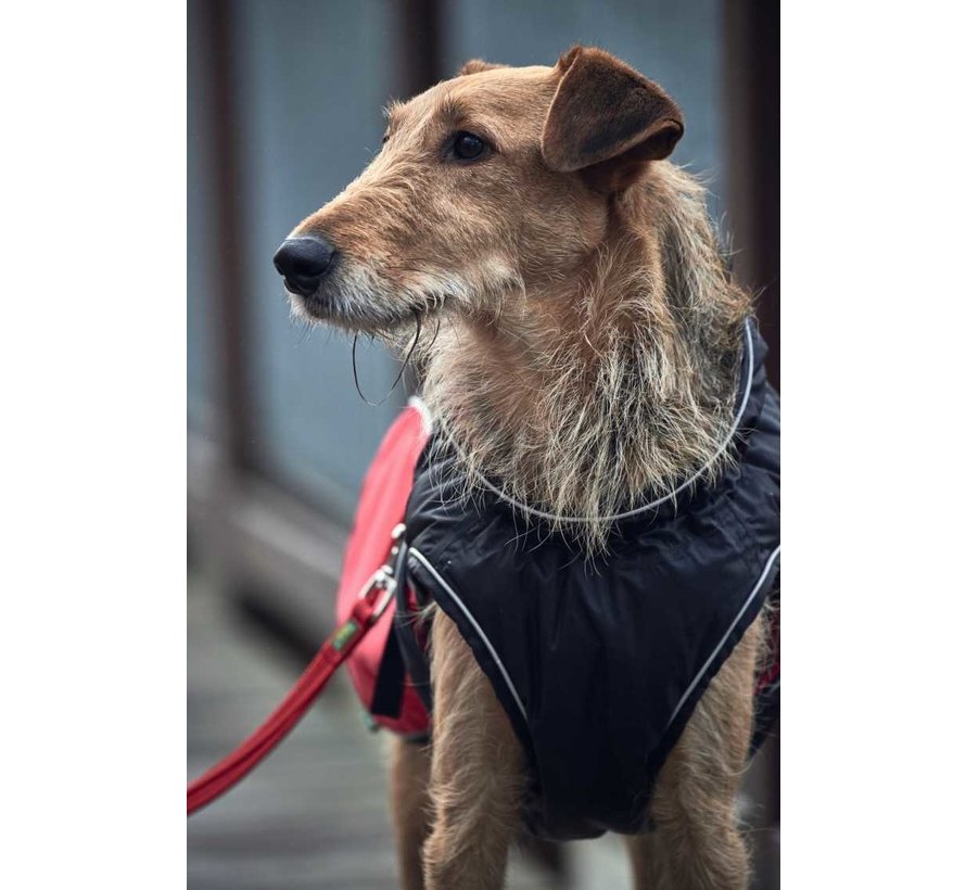 Uppsala Cozy Red Dog Coat