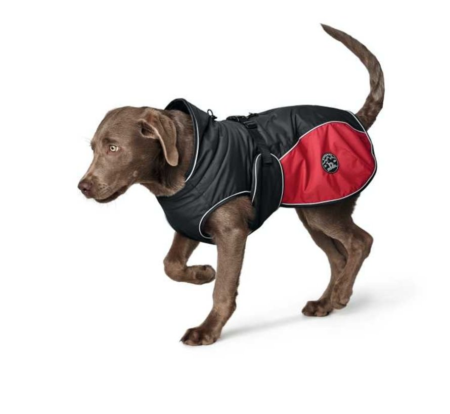 Uppsala Cozy Red Dog Coat