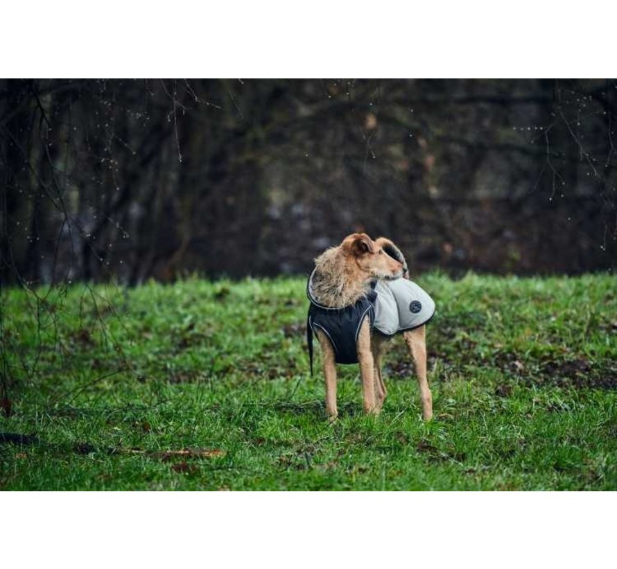 Dog Coat Uppsala Cozy Grey