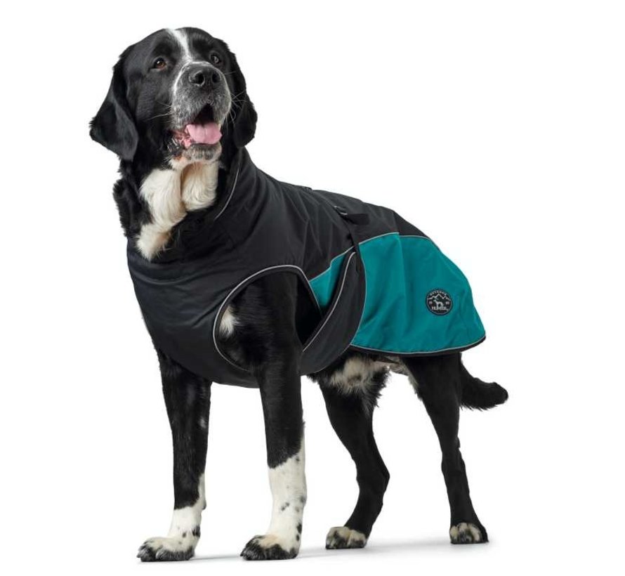 Dog Coat Uppsala Allrounder Teal