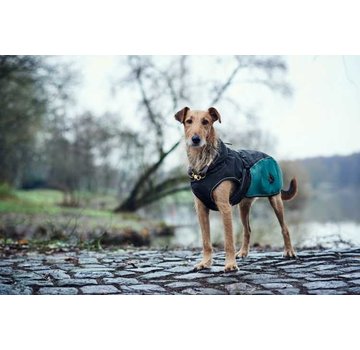 Hunter Dog Coat Uppsala Allrounder Teal