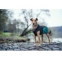 Dog Coat Uppsala Allrounder Teal