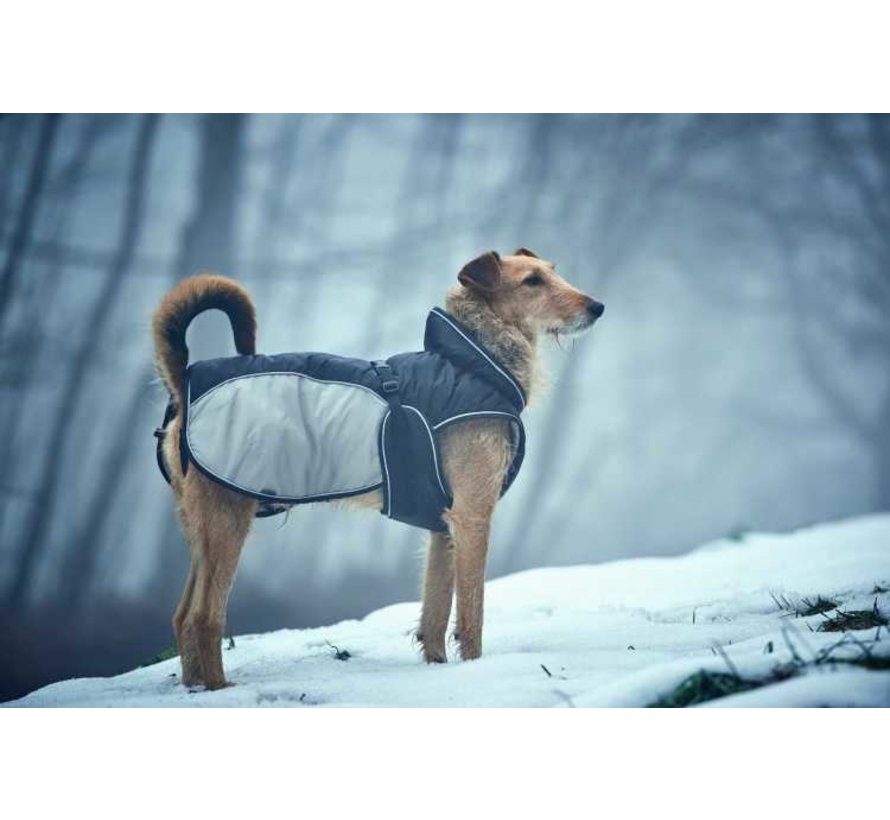 Dog Coat Uppsala Extreme Grey