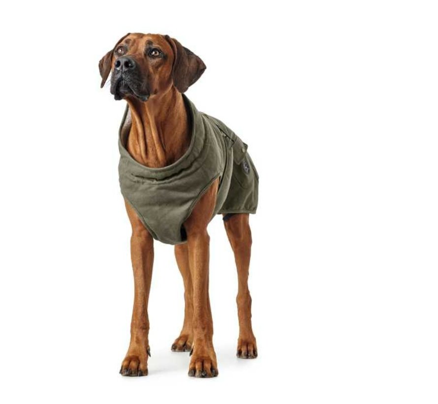 Dog Coat Uppsala Trend