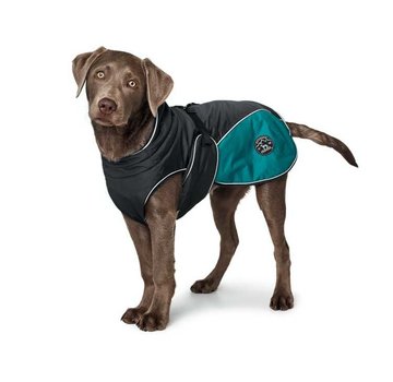 Hunter Dog Coat Uppsala Cozy Teal