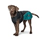 Dog Coat Uppsala Cozy Teal