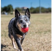 Kong Dog Toy Ball