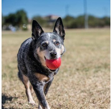 Kong Dog Toy Ball