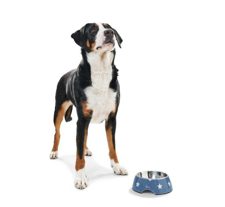 Dog Bowl Aarhus Blue