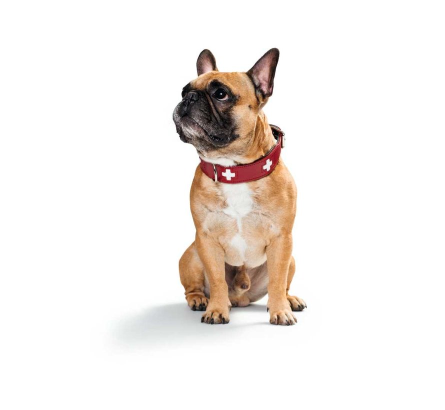 Swiss Red Dog Collar