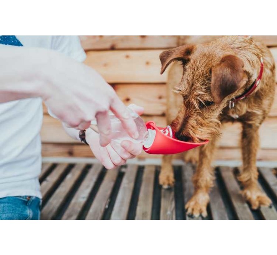 Dog Water Bottle List Red