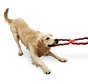 Dog Toy Tug