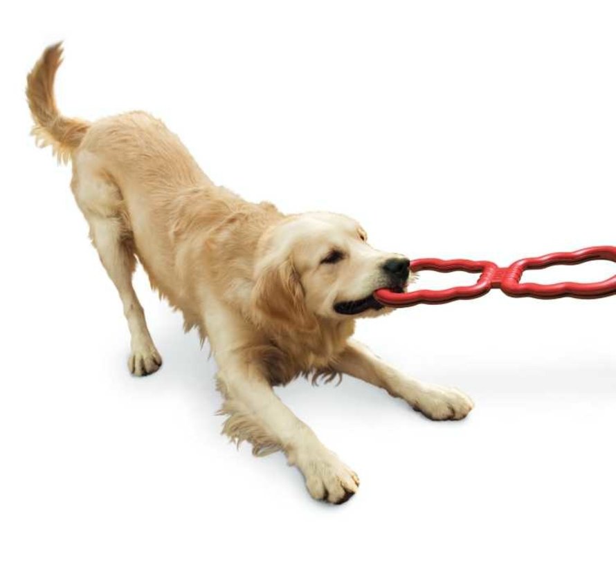 Dog Toy Tug