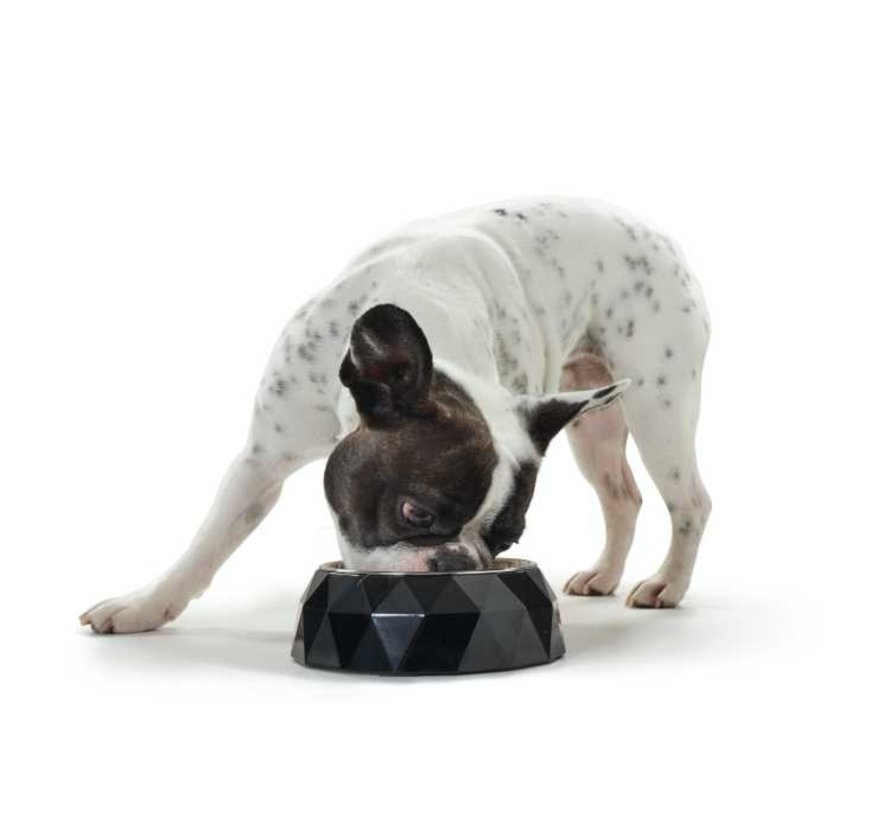 Drinkbak / Voerbak Melamine Kimberley Zwart