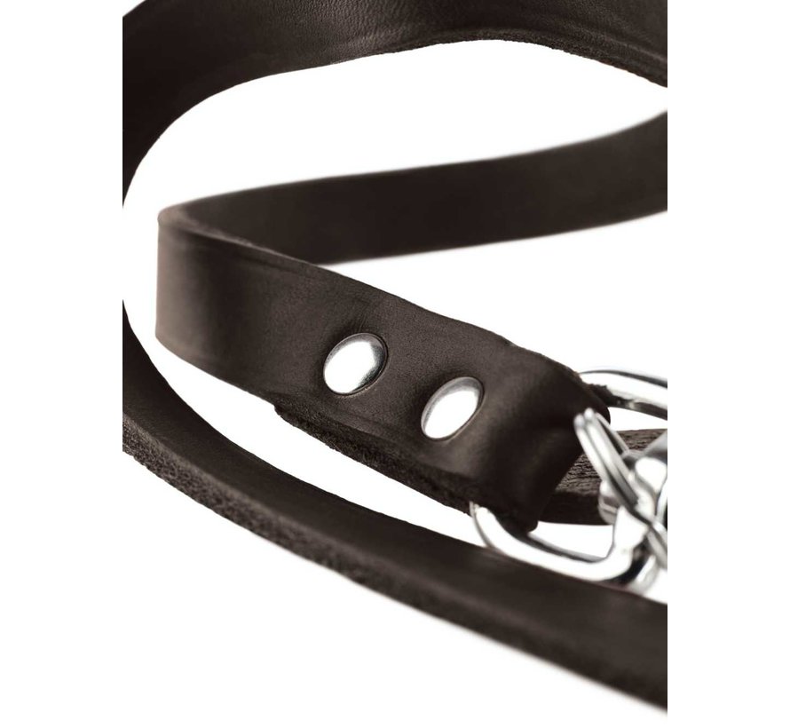 Adjustable Dog Leash Dark Brown Leather