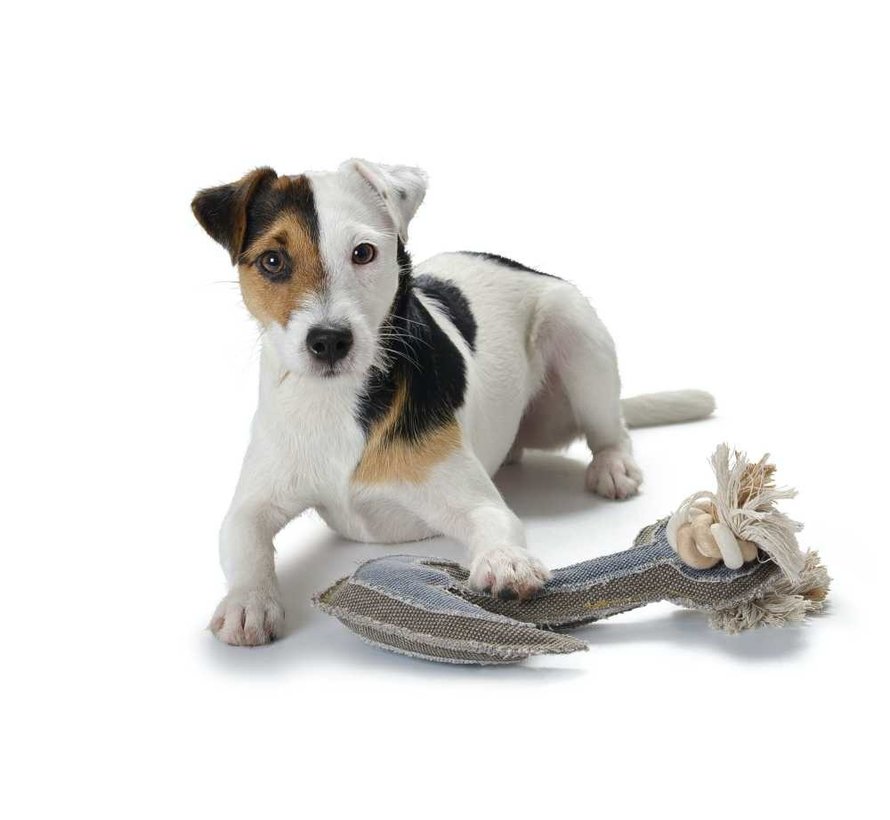Dog Toy Canvas Anchor