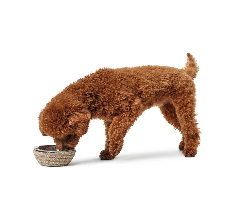 Drinking Bowl or Feeding Bowl Graz Beige