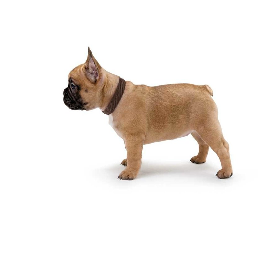 Dog Collar Vario Plus Brown