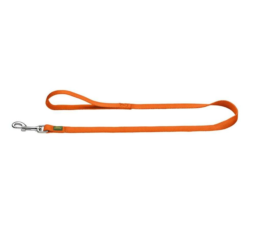 Dog Leash Nylon Orange