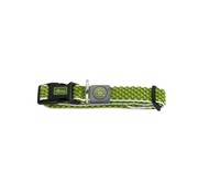 Hunter Dog Collar Hilo Vario Basic Lime