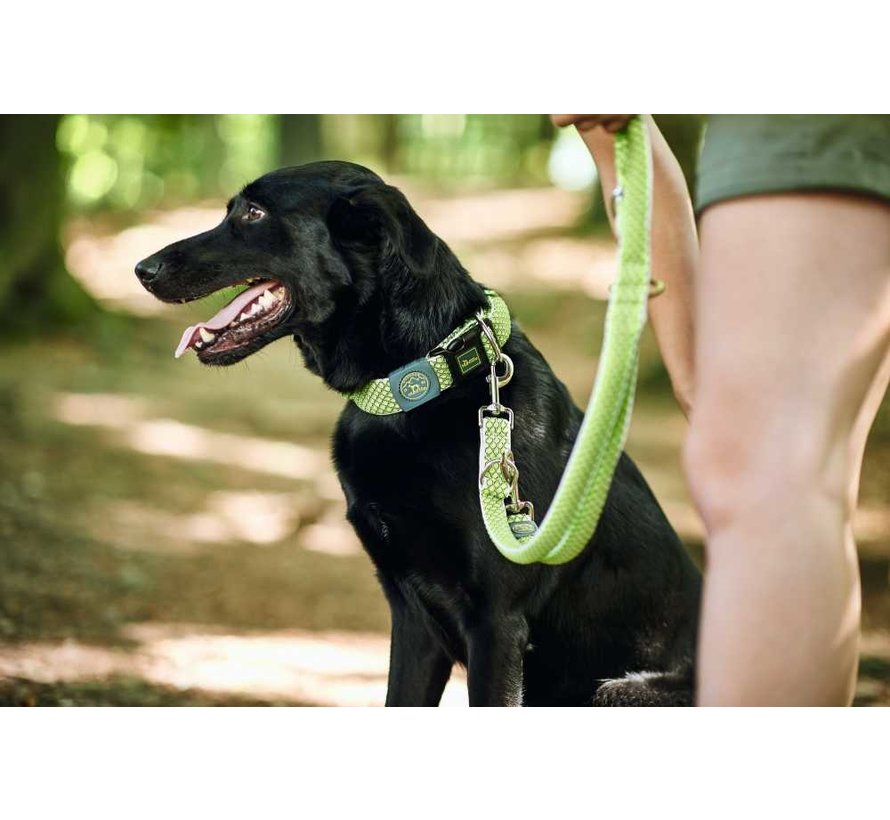 Adjustable Dog Leash Hilo Lime